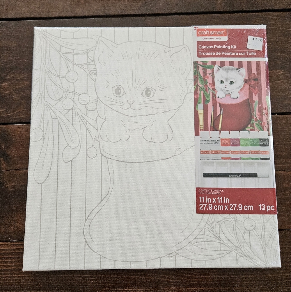 11" x 11"‎ Craft Smart Christmas Canvas Painting Kit Cat in a Stocking NEW